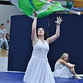 Windsor Guard 022710